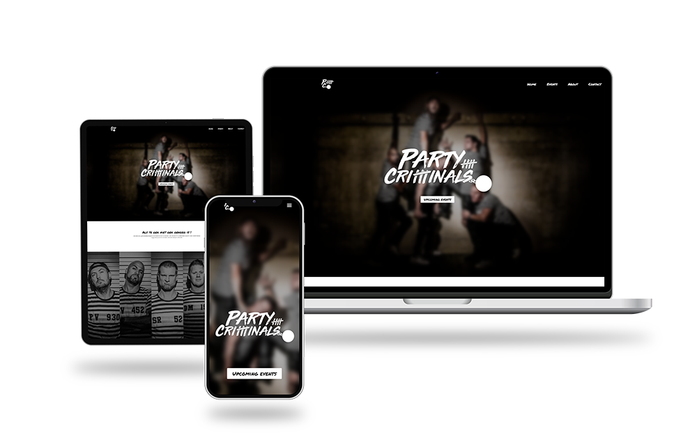 Party Criminals Viking Entertainment webdesign
